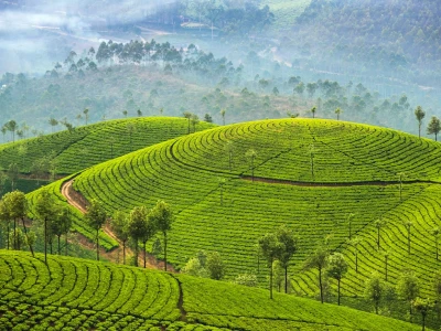Munnar Tour Package
