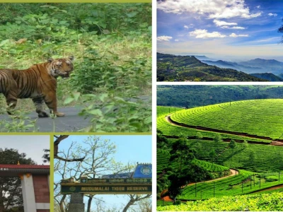 Munnar Thekkady Tour Package