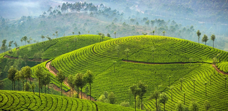 Munnar Tour Package