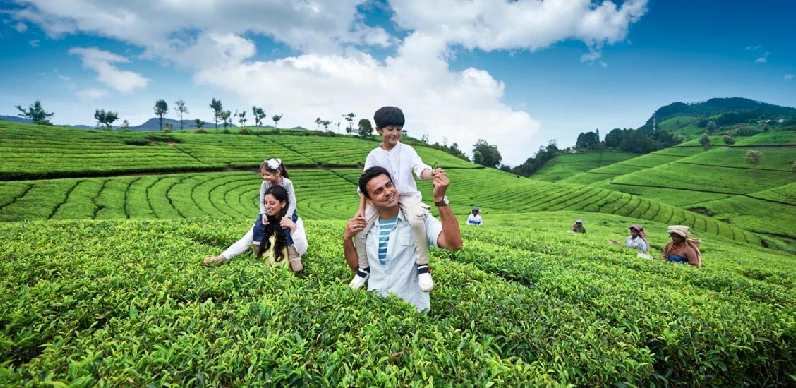 Kerala Family Tour Package