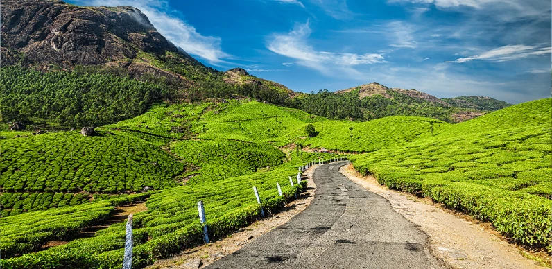 Kerala Hill Backwater & Beach Tour Package